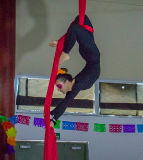 colegio-con-actividades-extracurriculares-danza-aerea