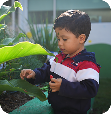 cultura-ambiental-cosecha-1