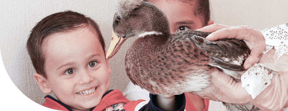 cultura-ambiental-imagen-banner-1
