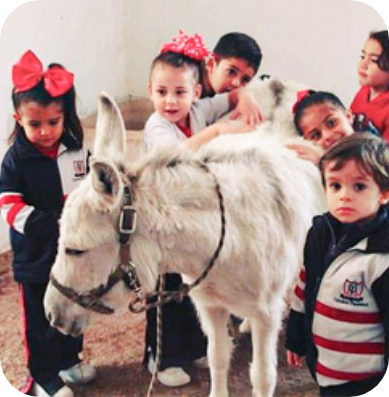 cultura-ambiental-pony