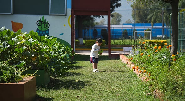 colegio_pedregal_bajio_huerto