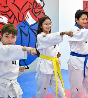 colegio_pedregal_santa_anita_tae-kwon-do-1