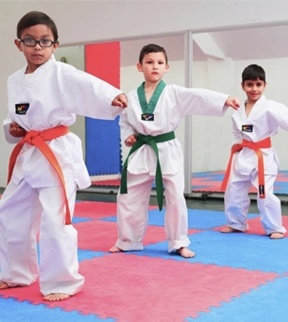 colegio_pedregal_santa_anita_tae-kwon-do